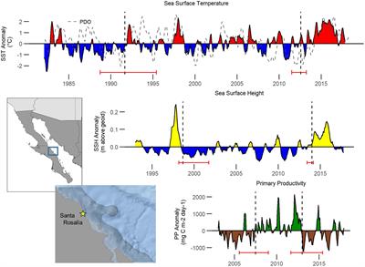 Heterogeneous Perceptions of Social-Ecological Change Among Small-Scale Fishermen in the Central Gulf of California: Implications for Adaptive Response